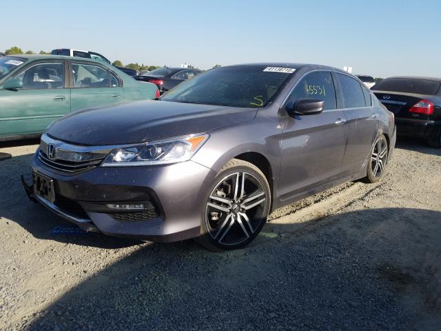 Photo 1 VIN: 1HGCR2F59GA028239 - HONDA ACCORD SPO 