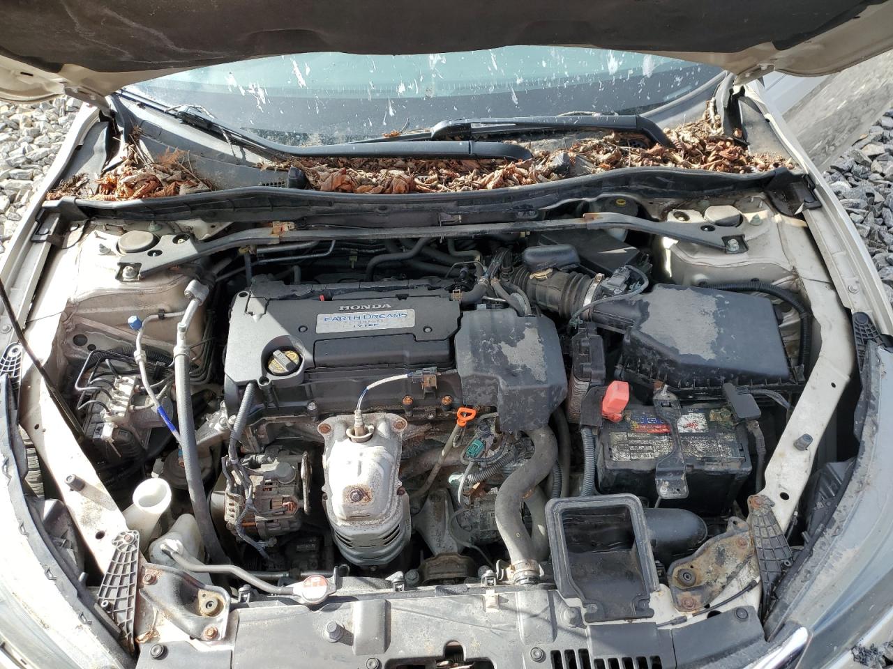 Photo 10 VIN: 1HGCR2F5XDA176119 - HONDA ACCORD 