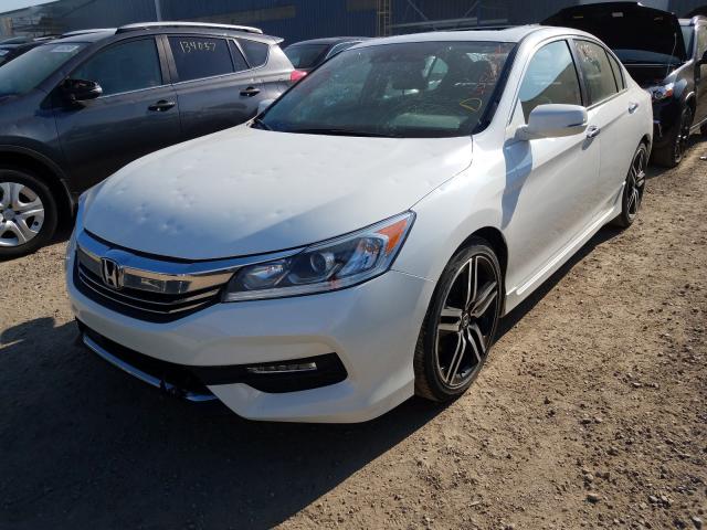 Photo 1 VIN: 1HGCR2F63HA805279 - HONDA ACCORD SPO 