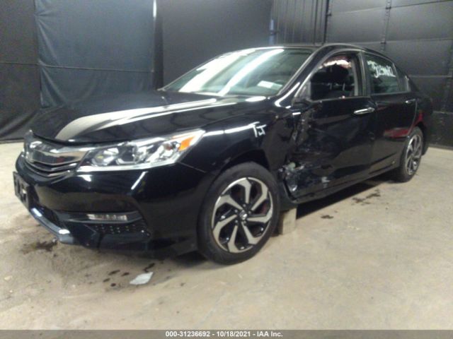 Photo 5 VIN: 1HGCR2F70GA157293 - HONDA ACCORD SEDAN 