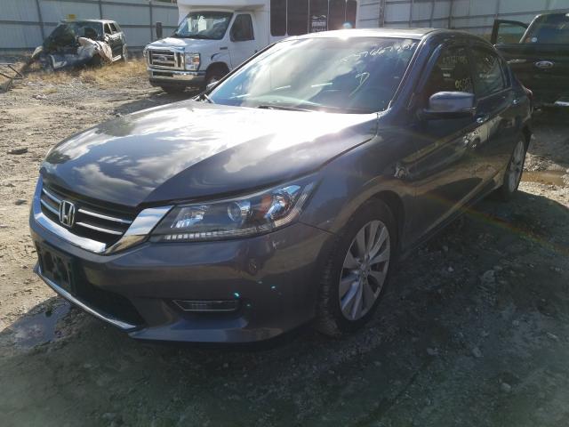 Photo 1 VIN: 1HGCR2F71DA245474 - HONDA ACCORD 