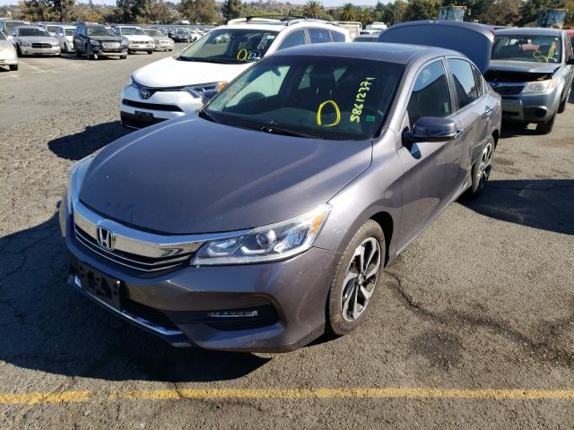 Photo 1 VIN: 1HGCR2F71GA070406 - HONDA ACCORD EX 