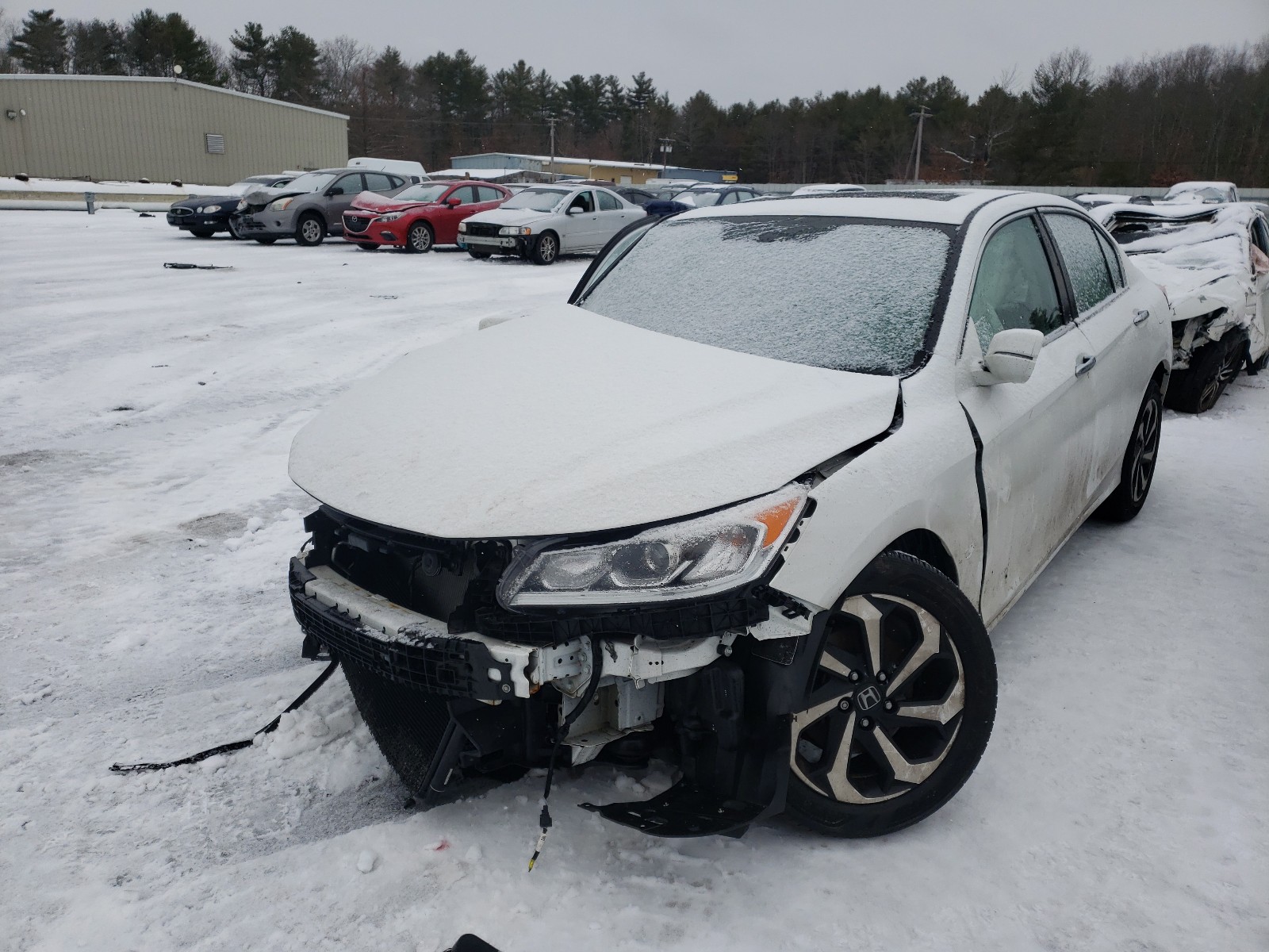 Photo 1 VIN: 1HGCR2F71HA179756 - HONDA ACCORD EX 