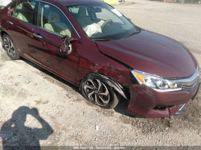 Photo 5 VIN: 1HGCR2F71HA291148 - HONDA ACCORD SEDAN 