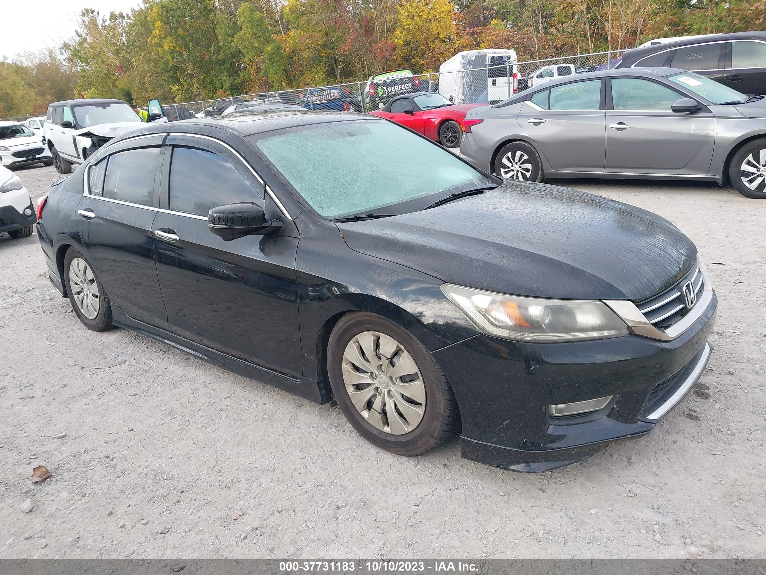 Photo 0 VIN: 1HGCR2F73DA010929 - HONDA ACCORD 