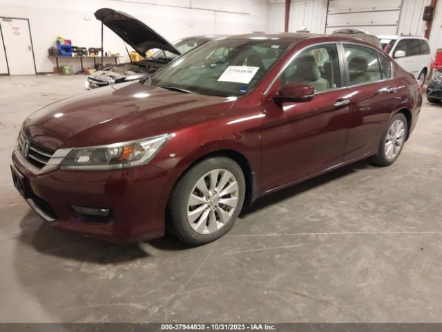 Photo 1 VIN: 1HGCR2F76EA082919 - HONDA ACCORD SEDAN 