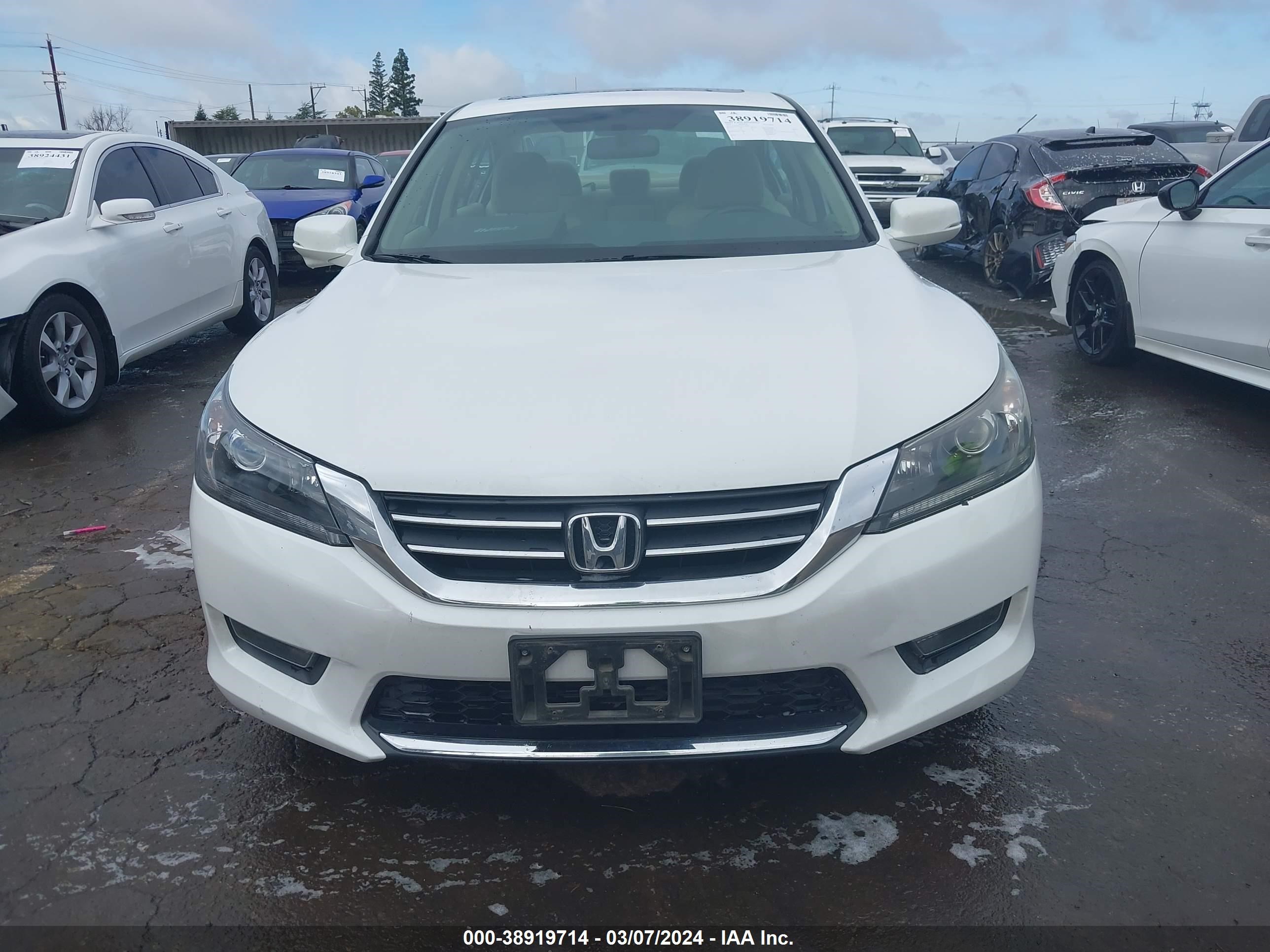 Photo 11 VIN: 1HGCR2F77EA186061 - HONDA ACCORD 