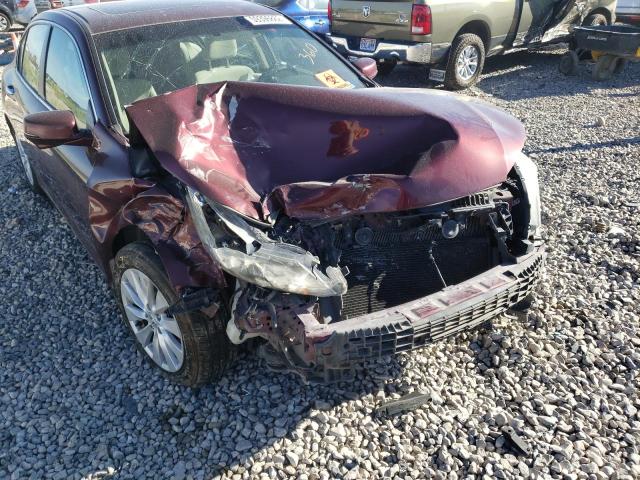 Photo 8 VIN: 1HGCR2F78DA128510 - HONDA ACCORD EX 