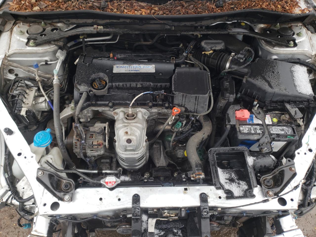 Photo 10 VIN: 1HGCR2F78EA003525 - HONDA ACCORD 