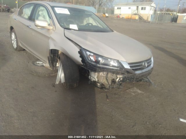 Photo 5 VIN: 1HGCR2F78EA245294 - HONDA ACCORD SEDAN 