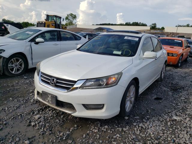 Photo 1 VIN: 1HGCR2F80DA008404 - HONDA ACCORD EXL 