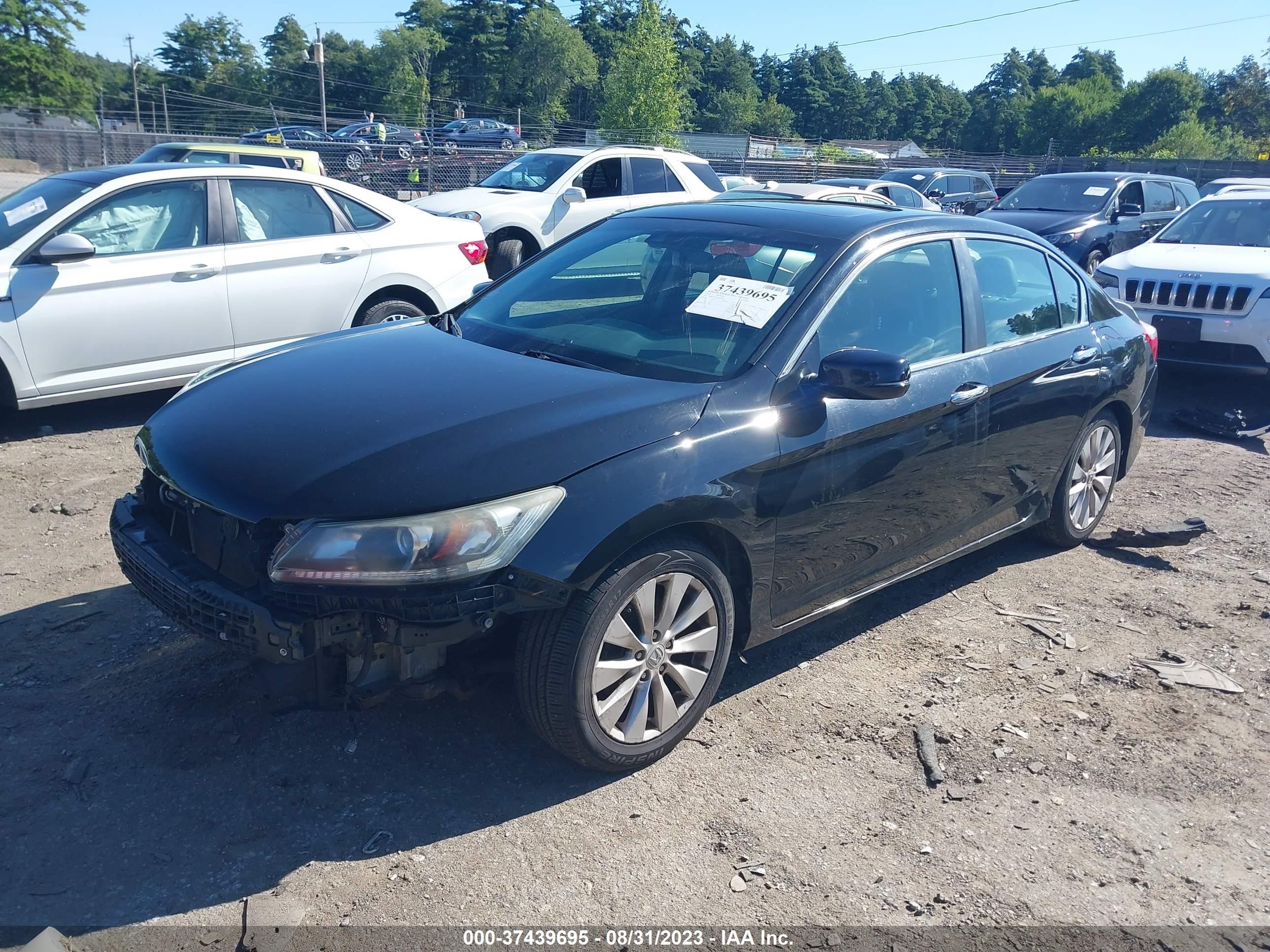 Photo 1 VIN: 1HGCR2F80DA008581 - HONDA ACCORD 