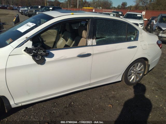 Photo 5 VIN: 1HGCR2F80DA017667 - HONDA ACCORD SDN 