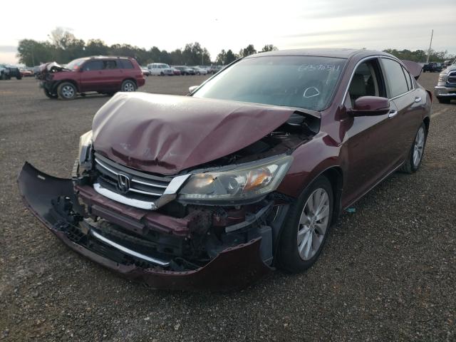 Photo 1 VIN: 1HGCR2F80DA018978 - HONDA ACCORD EXL 