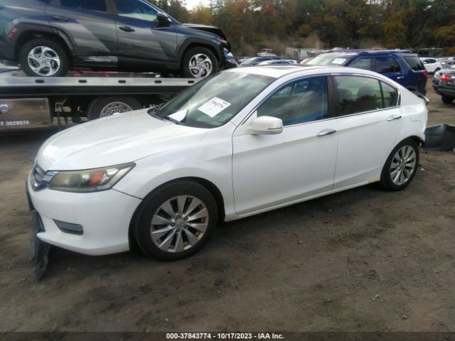 Photo 1 VIN: 1HGCR2F80DA211485 - HONDA ACCORD 