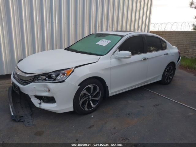 Photo 1 VIN: 1HGCR2F80HA147681 - HONDA ACCORD 