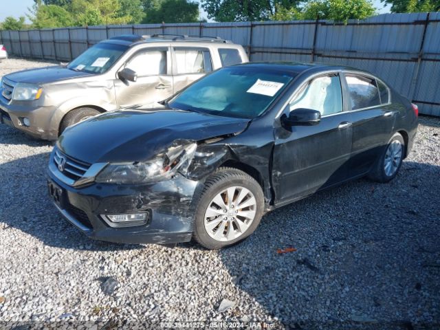 Photo 1 VIN: 1HGCR2F81DA173264 - HONDA ACCORD 