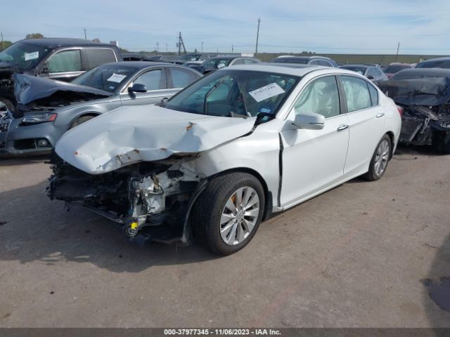 Photo 1 VIN: 1HGCR2F81DA224889 - HONDA ACCORD 