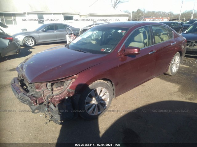 Photo 1 VIN: 1HGCR2F81DA227906 - HONDA ACCORD SDN 