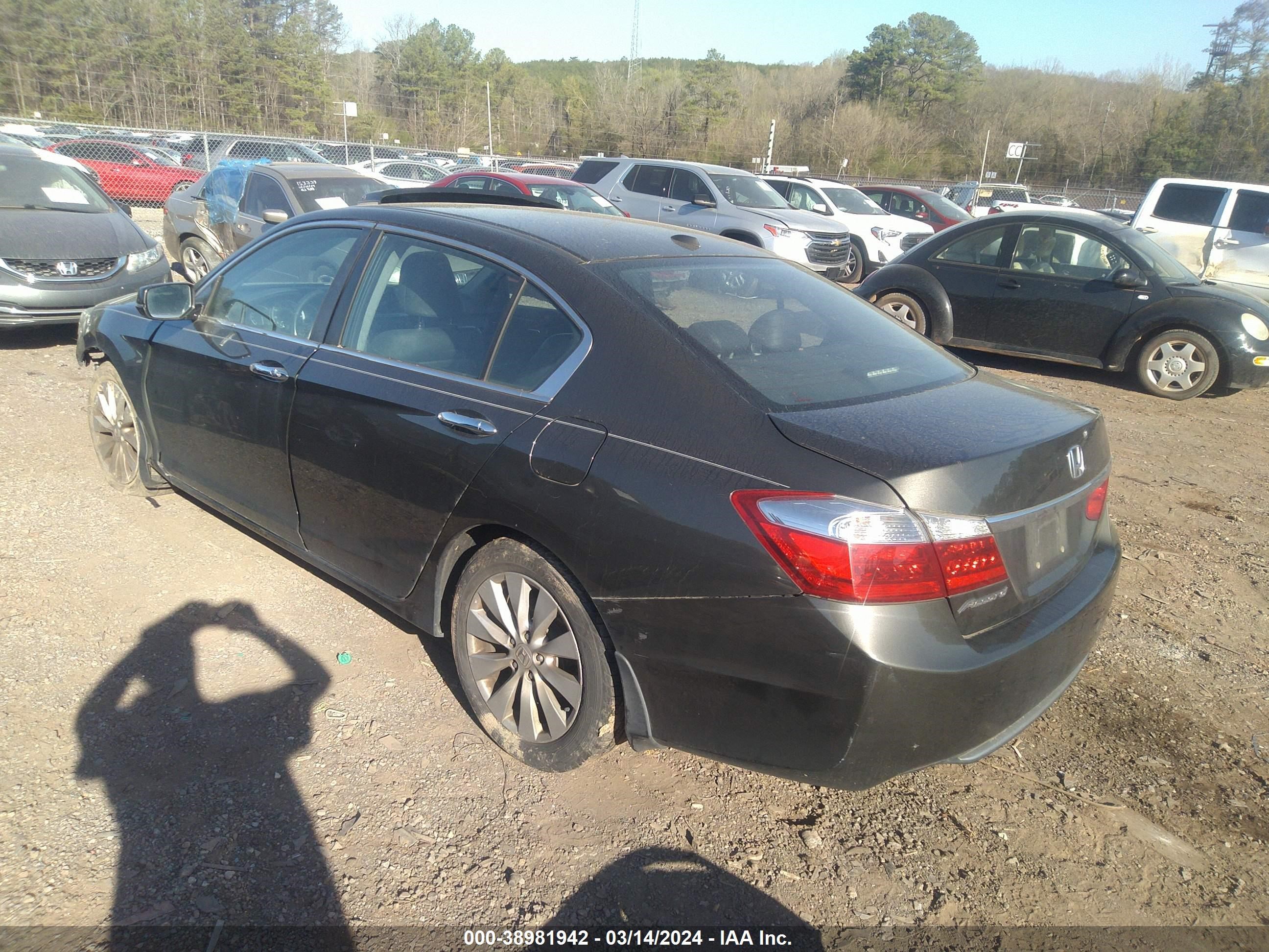 Photo 2 VIN: 1HGCR2F81EA066247 - HONDA ACCORD 