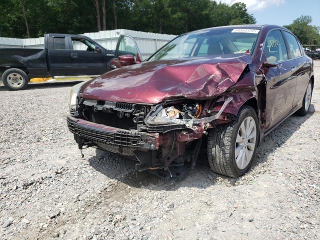 Photo 8 VIN: 1HGCR2F81EA113695 - HONDA ACCORD EXL 