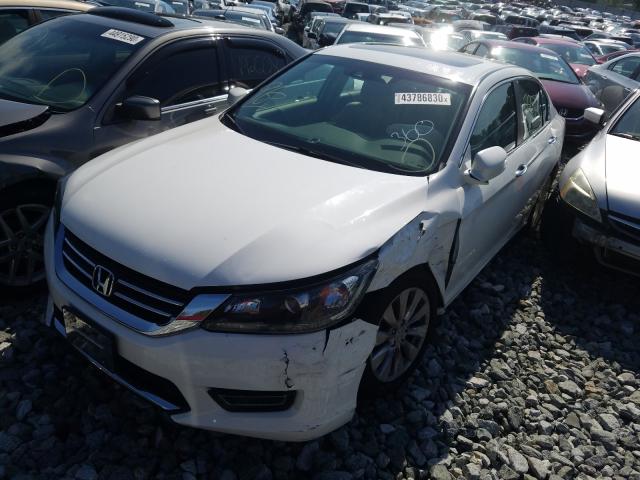 Photo 8 VIN: 1HGCR2F82DA095237 - HONDA ACCORD EXL 