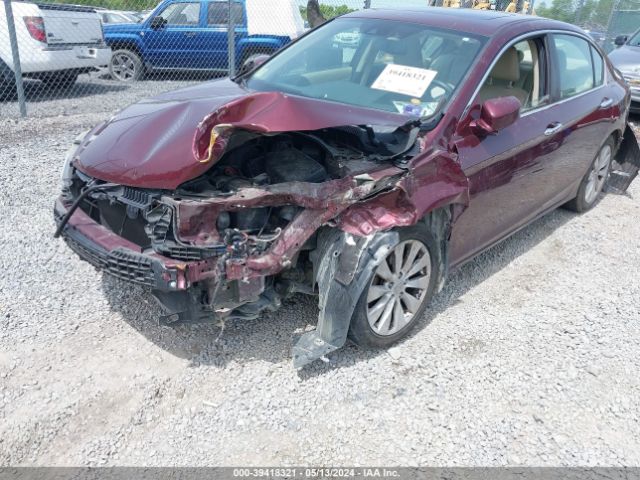 Photo 5 VIN: 1HGCR2F82EA175770 - HONDA ACCORD 