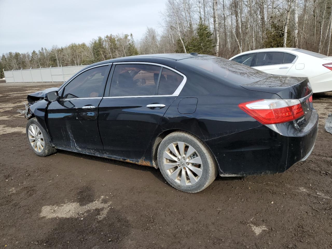 Photo 1 VIN: 1HGCR2F82EA803584 - HONDA ACCORD 