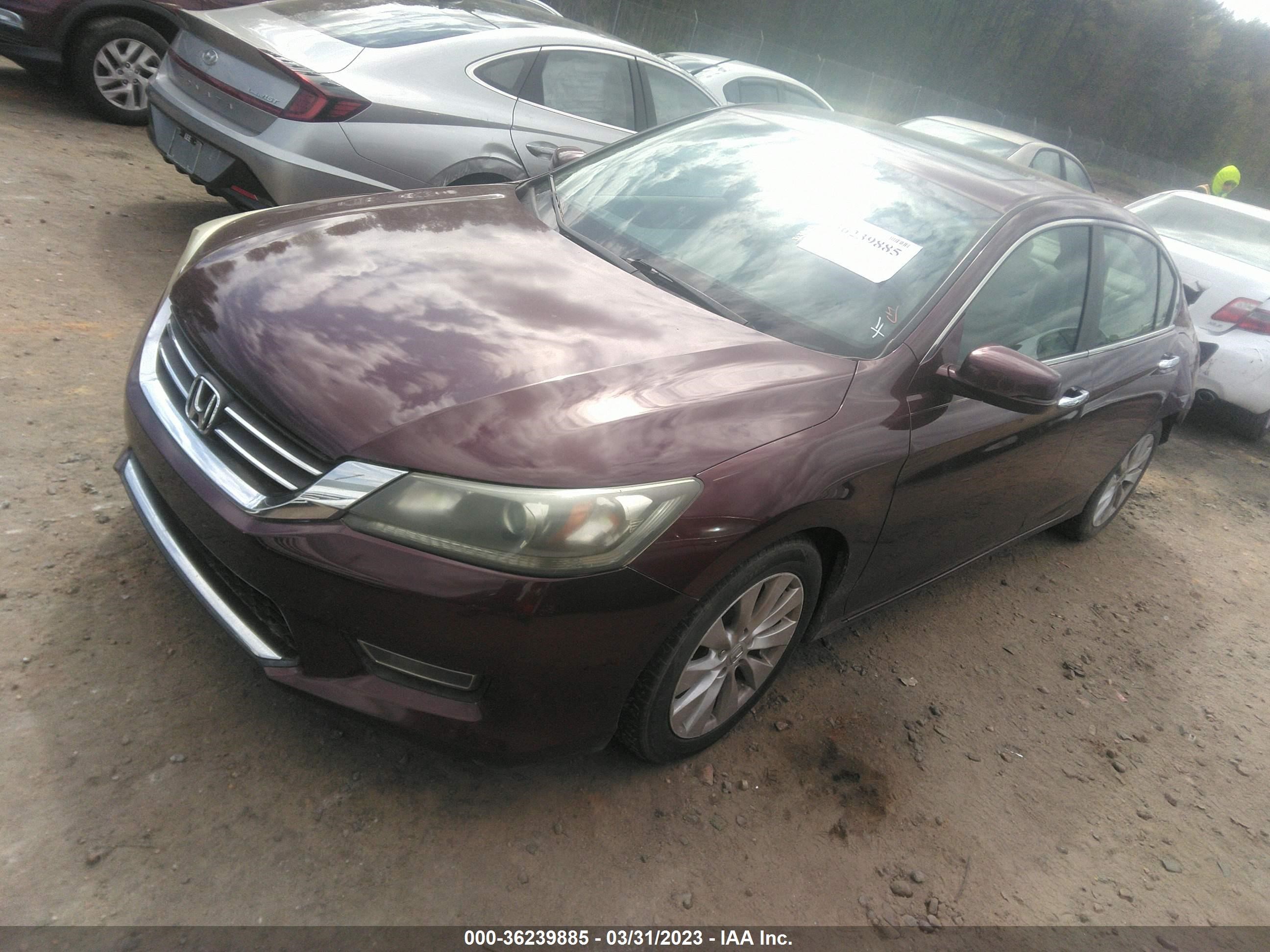 Photo 1 VIN: 1HGCR2F83DA019493 - HONDA ACCORD 