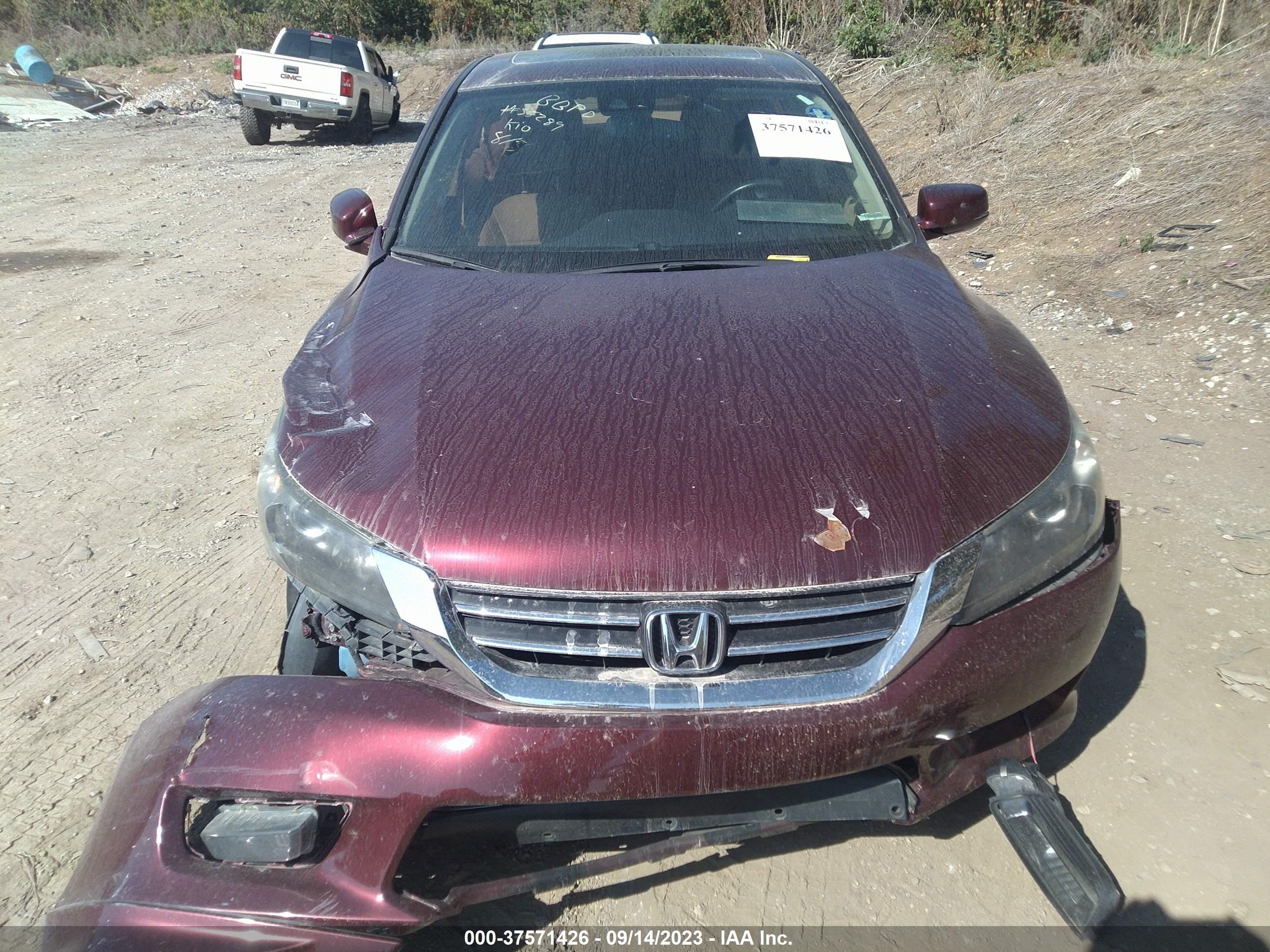 Photo 11 VIN: 1HGCR2F83EA181660 - HONDA ACCORD 