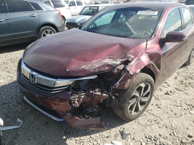 Photo 8 VIN: 1HGCR2F83GA040820 - HONDA ACCORD EXL 