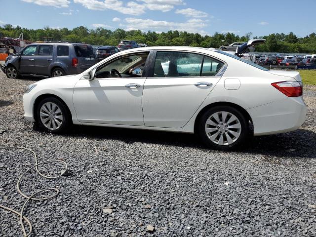 Photo 1 VIN: 1HGCR2F85EA308117 - HONDA ACCORD 