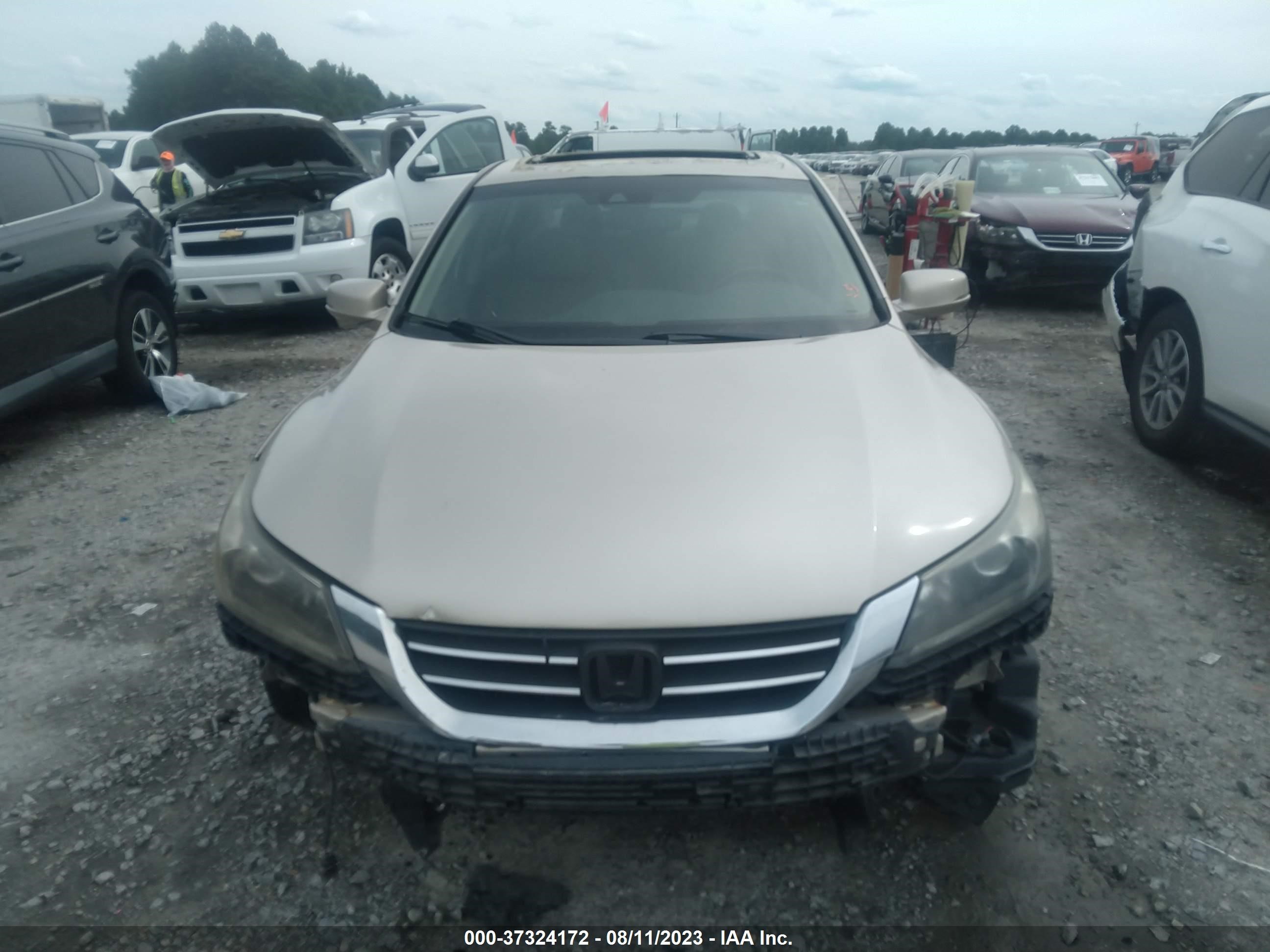 Photo 11 VIN: 1HGCR2F86DA129230 - HONDA ACCORD 