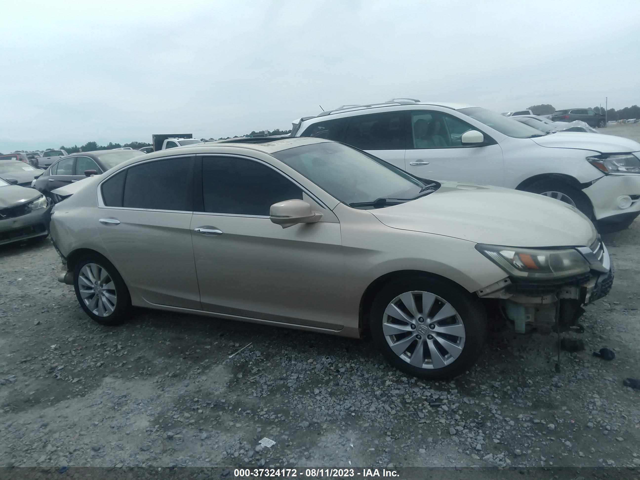 Photo 12 VIN: 1HGCR2F86DA129230 - HONDA ACCORD 