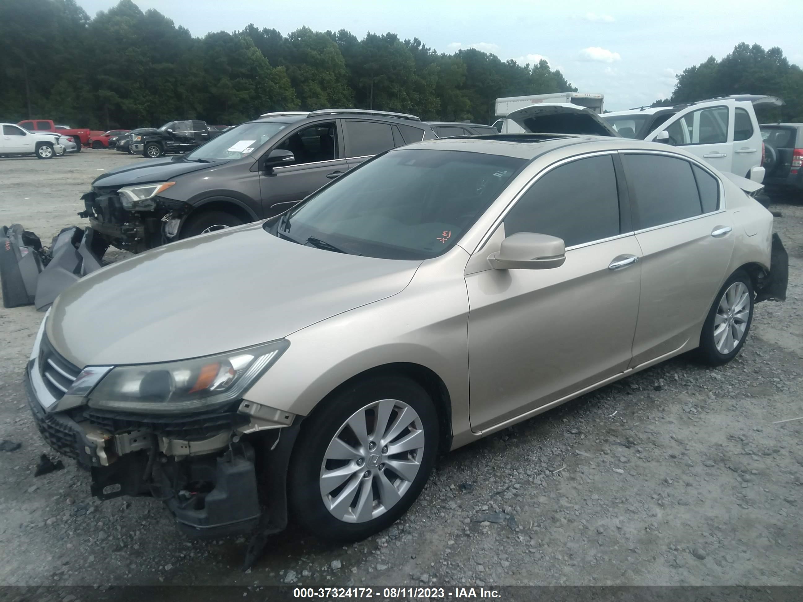 Photo 13 VIN: 1HGCR2F86DA129230 - HONDA ACCORD 