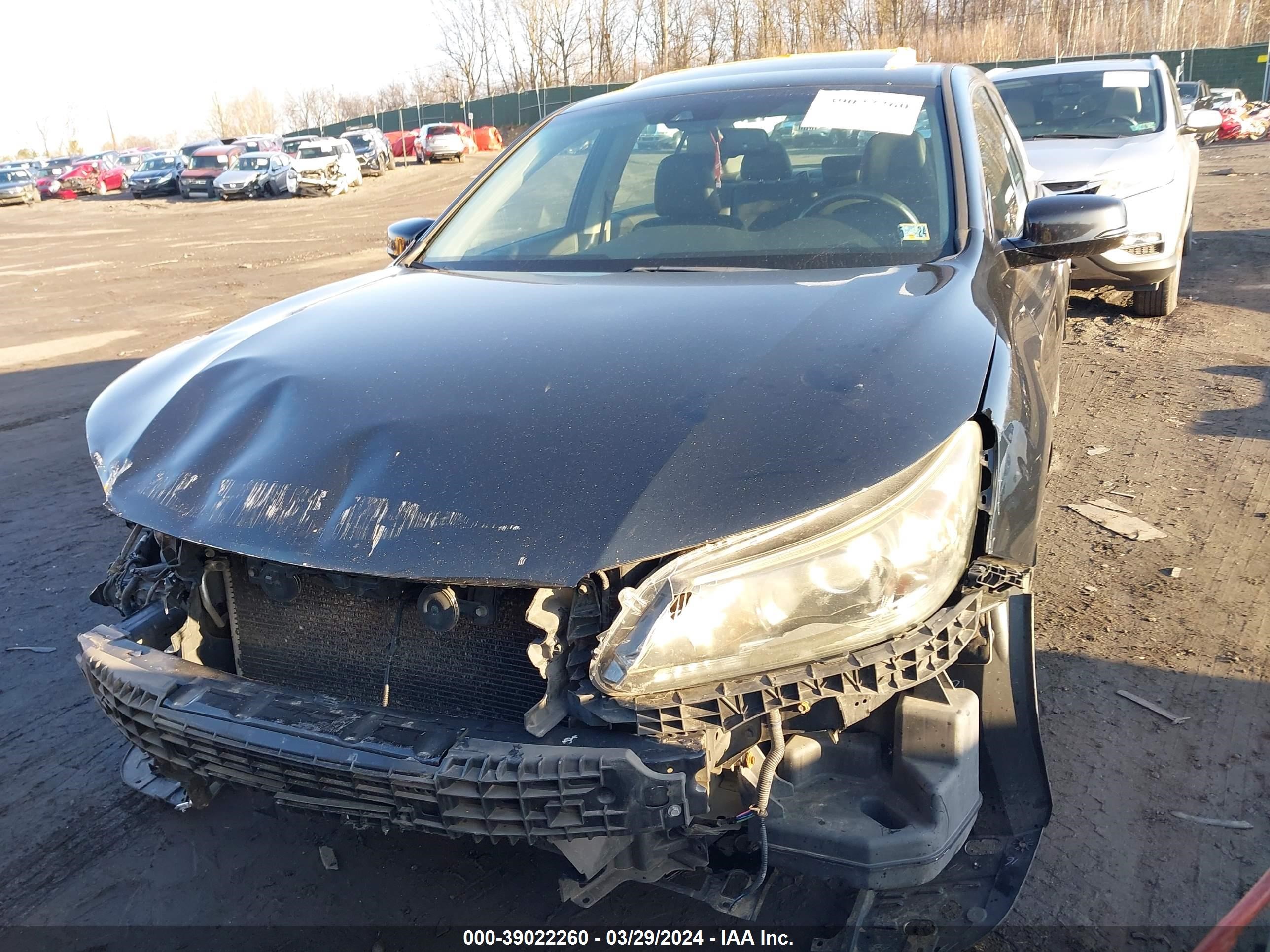 Photo 5 VIN: 1HGCR2F86DA279225 - HONDA ACCORD 