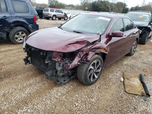 Photo 8 VIN: 1HGCR2F86GA148316 - HONDA ACCORD EXL 