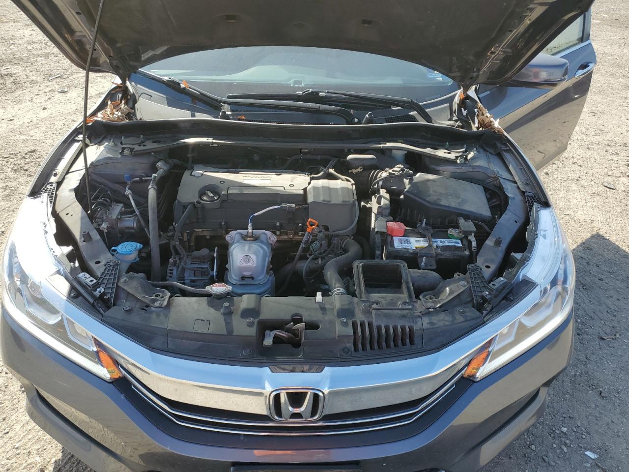 Photo 10 VIN: 1HGCR2F86GA150678 - HONDA ACCORD 