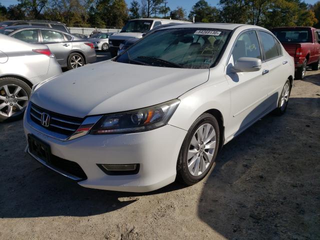 Photo 1 VIN: 1HGCR2F87DA043229 - HONDA ACCORD EXL 