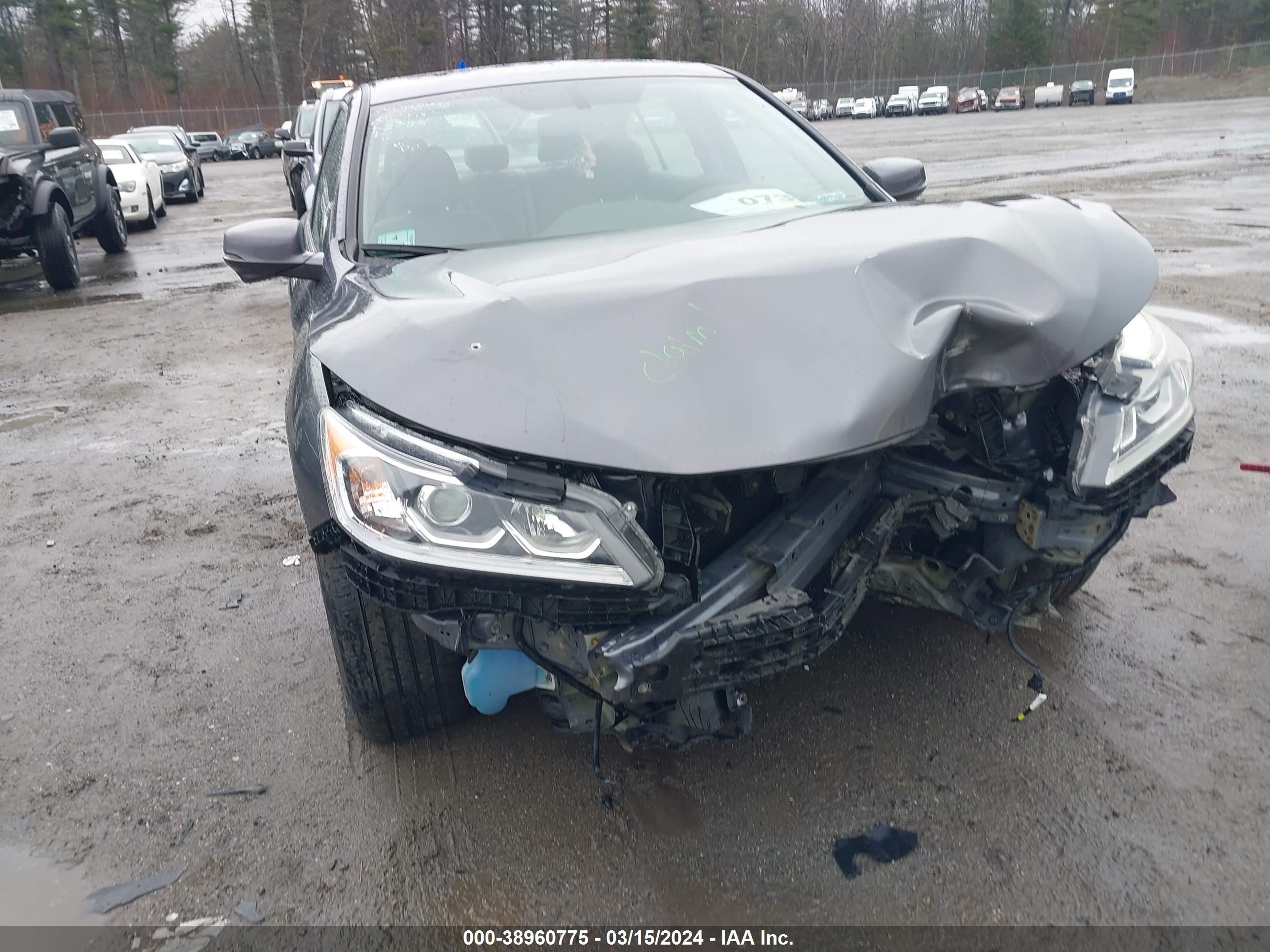 Photo 11 VIN: 1HGCR2F87HA187899 - HONDA ACCORD 