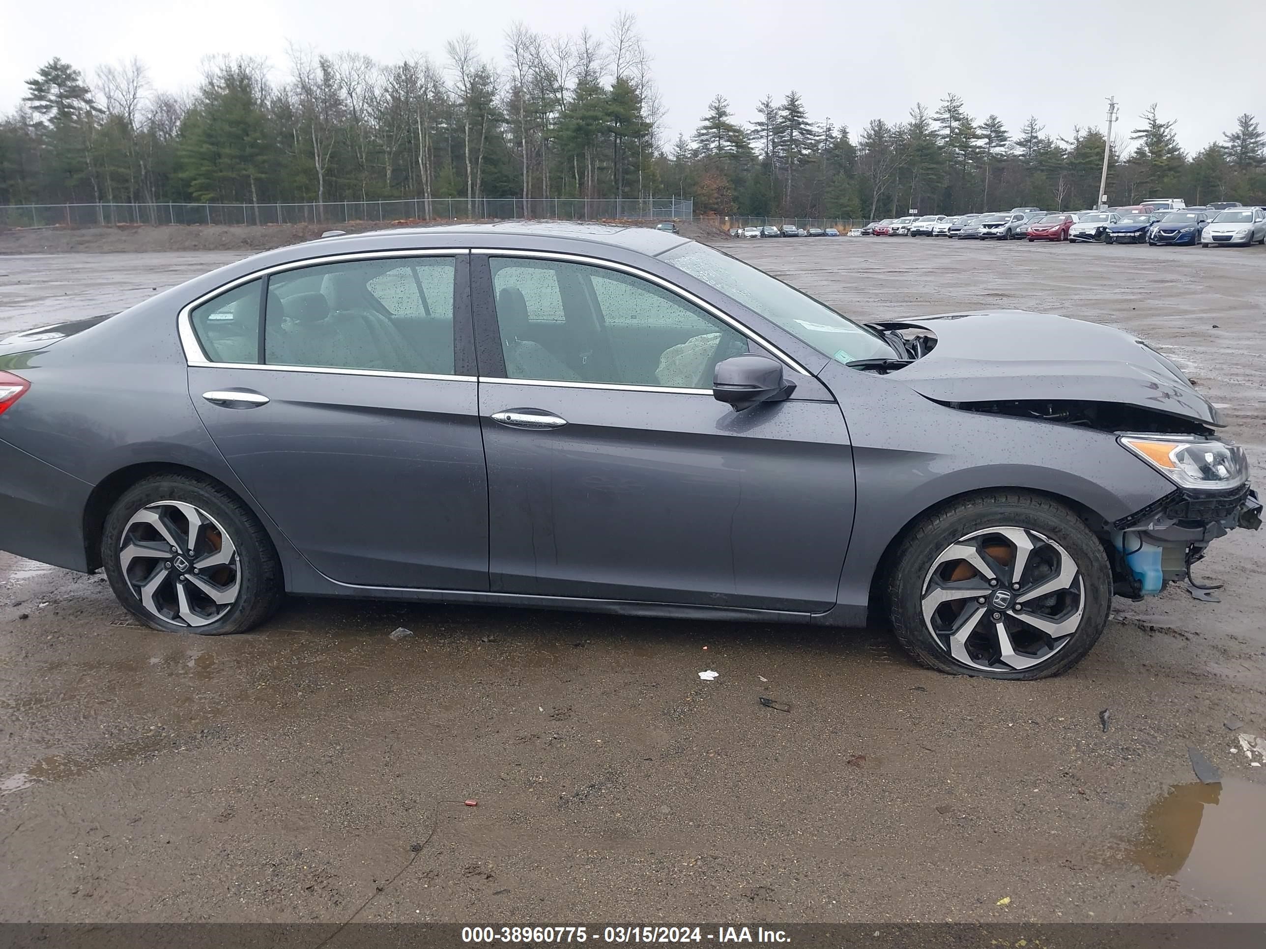 Photo 13 VIN: 1HGCR2F87HA187899 - HONDA ACCORD 