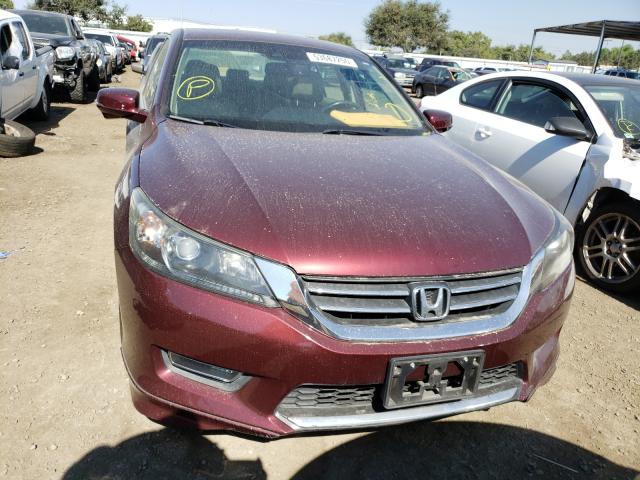 Photo 8 VIN: 1HGCR2F88DA028500 - HONDA ACCORD EXL 