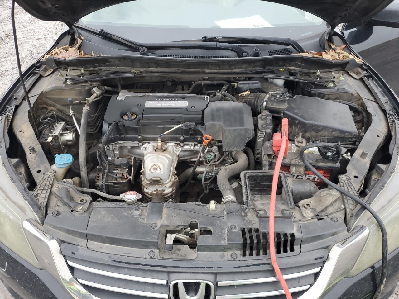 Photo 10 VIN: 1HGCR2F88DA109206 - HONDA ACCORD 