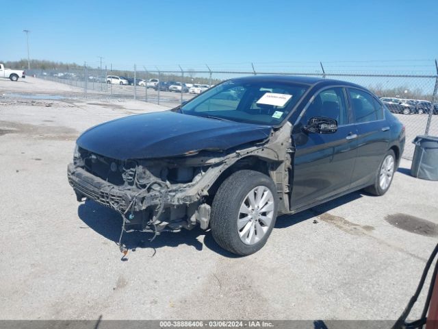 Photo 1 VIN: 1HGCR2F88DA230303 - HONDA ACCORD 