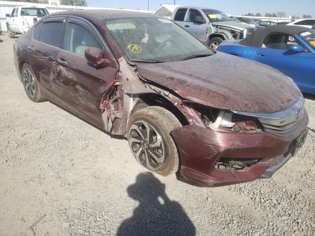 Photo 8 VIN: 1HGCR2F88GA004296 - HONDA ACCORD EXL 