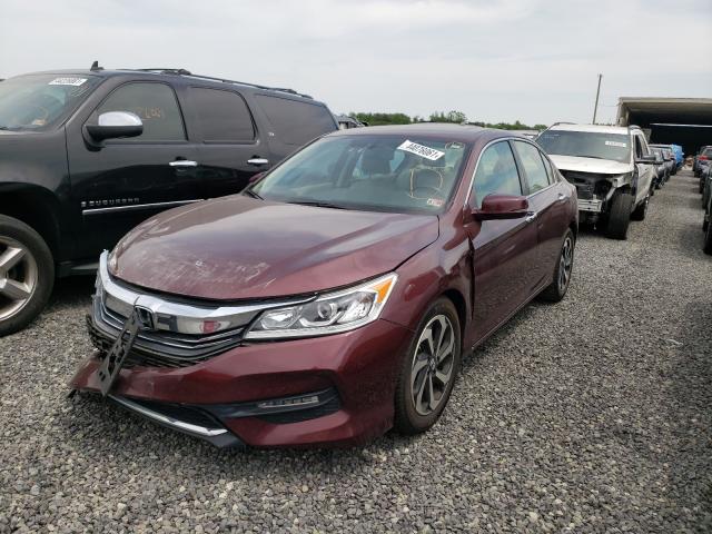 Photo 1 VIN: 1HGCR2F88GA218964 - HONDA ACCORD EXL 