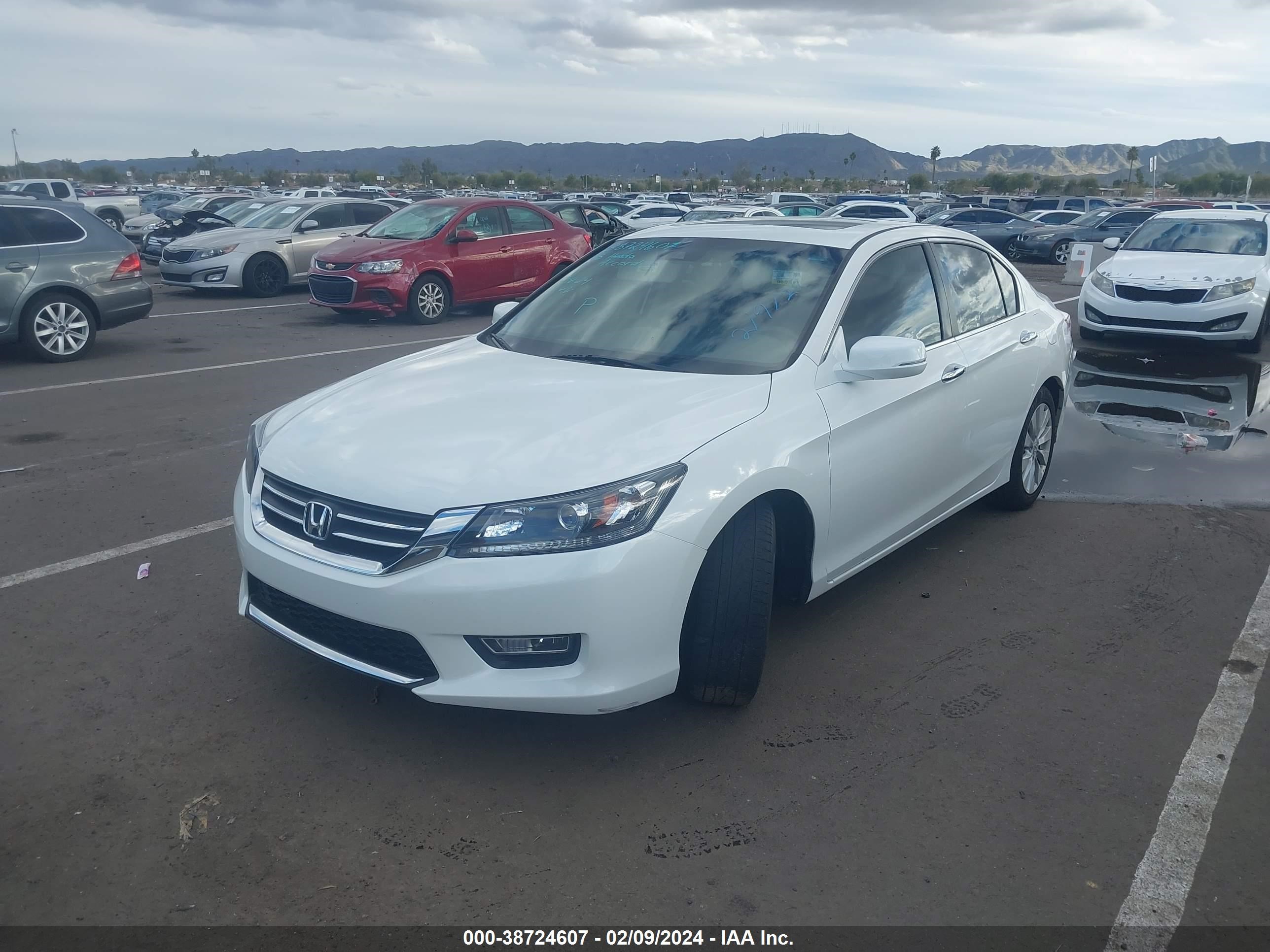 Photo 1 VIN: 1HGCR2F89DA173321 - HONDA ACCORD 