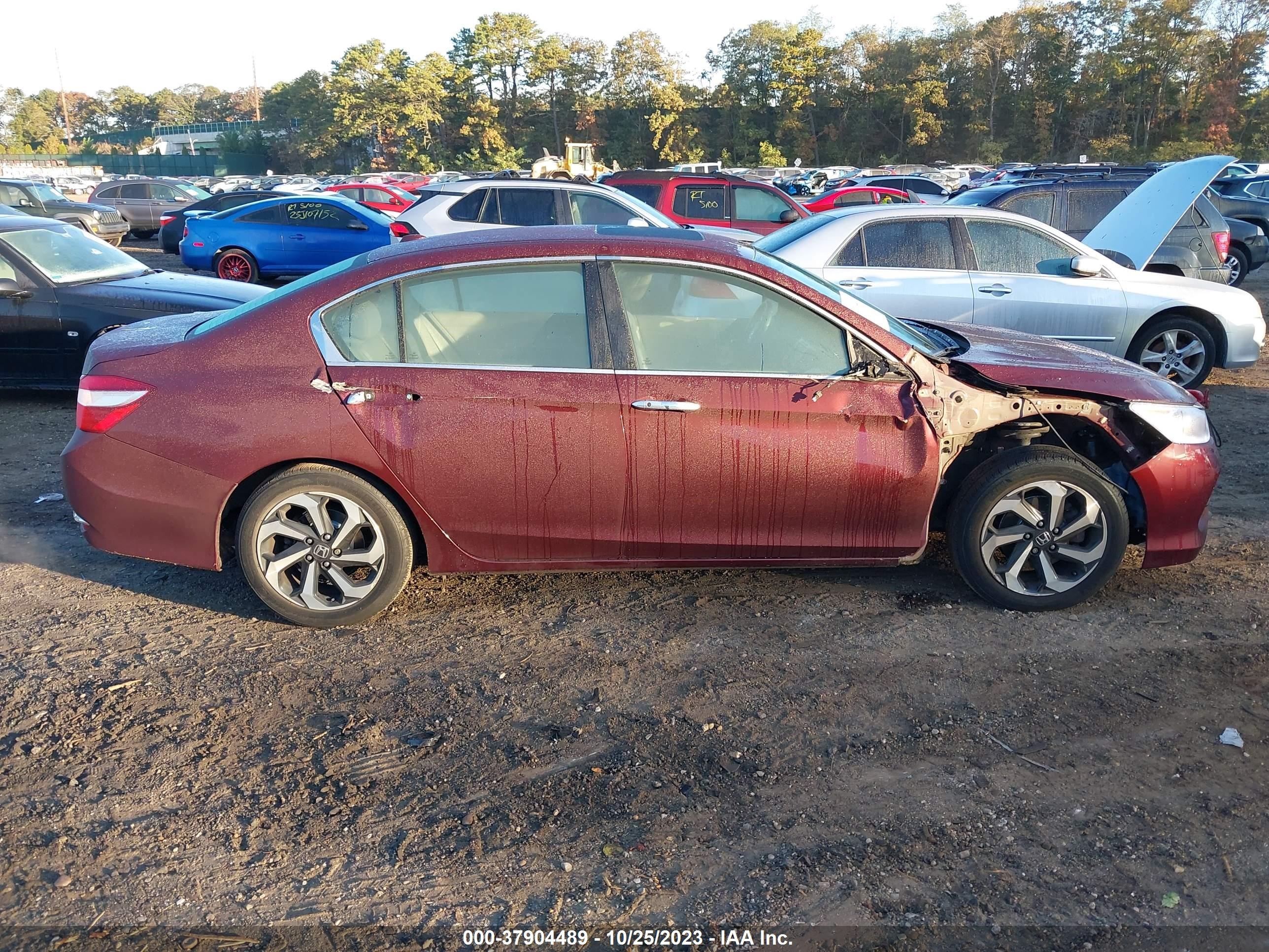 Photo 12 VIN: 1HGCR2F89GA151162 - HONDA ACCORD 