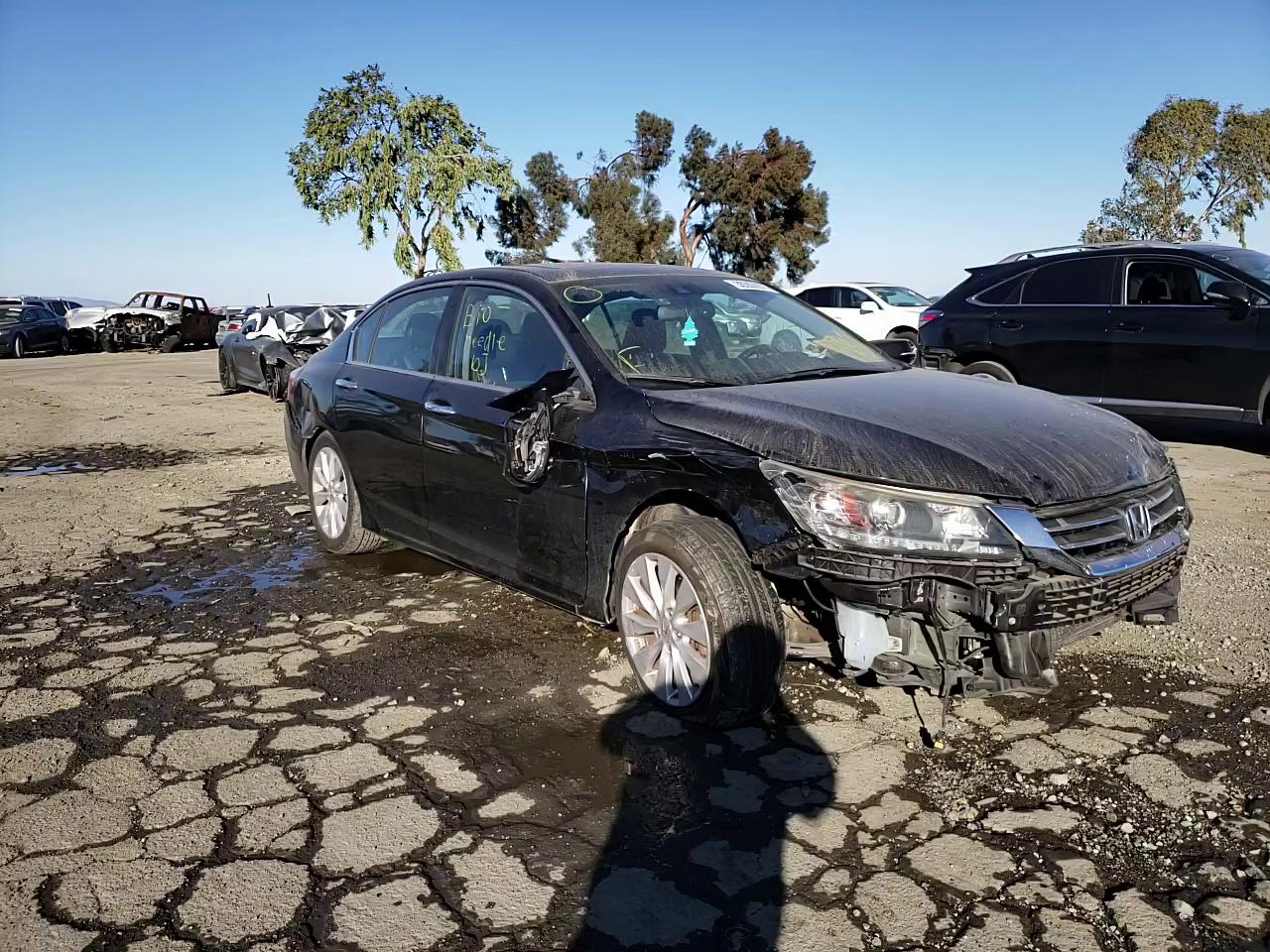 Photo 10 VIN: 1HGCR2F8XEA043209 - HONDA ACCORD EXL 