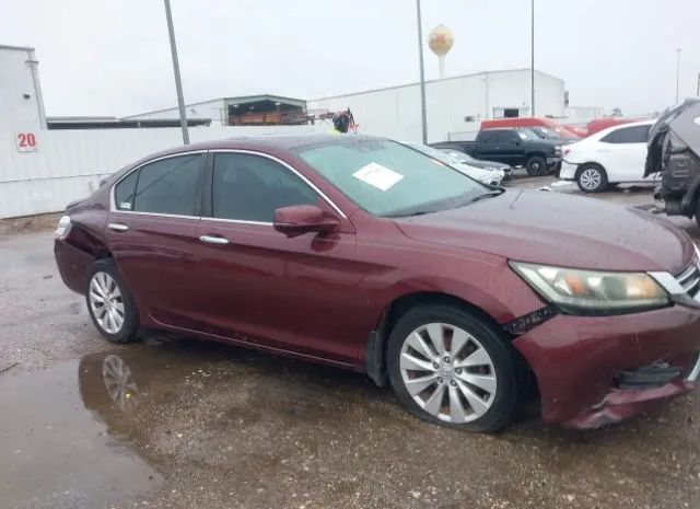 Photo 5 VIN: 1HGCR2F8XEA294201 - HONDA ACCORD SEDAN 